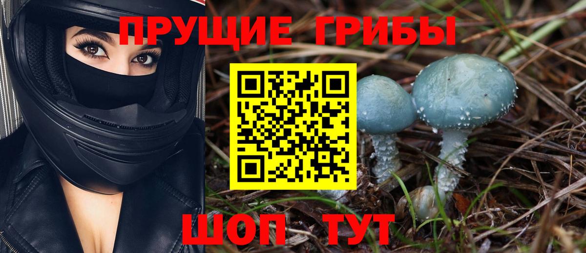 Галлюциногенные грибы Psilocybine cubensis  Вход с VPN  Вязники  Псилоцибиновые грибы мицелий 